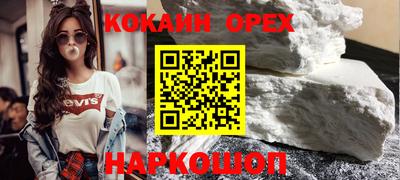гидра Заводоуковск
