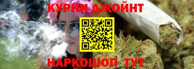 гидра Заводоуковск