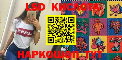 гидра Заводоуковск