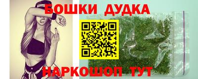 гидра Заводоуковск