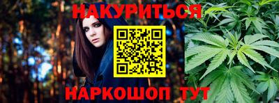 гидра Заводоуковск