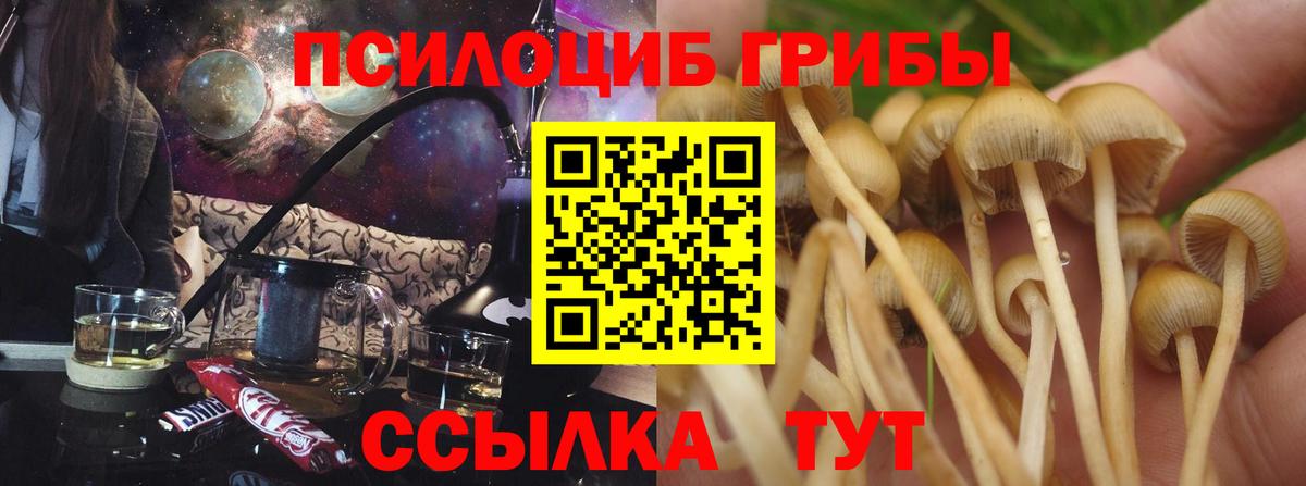 Псилоцибиновые грибы прущие грибы  Вход с VPN  где можно купить   Псилоцибиновые грибы мухоморы  Донецк 